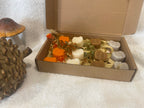 Coffret automne - spécial Halloween