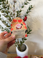 Bougie cœur parfumée artisanale – Collection Saint-Valentin