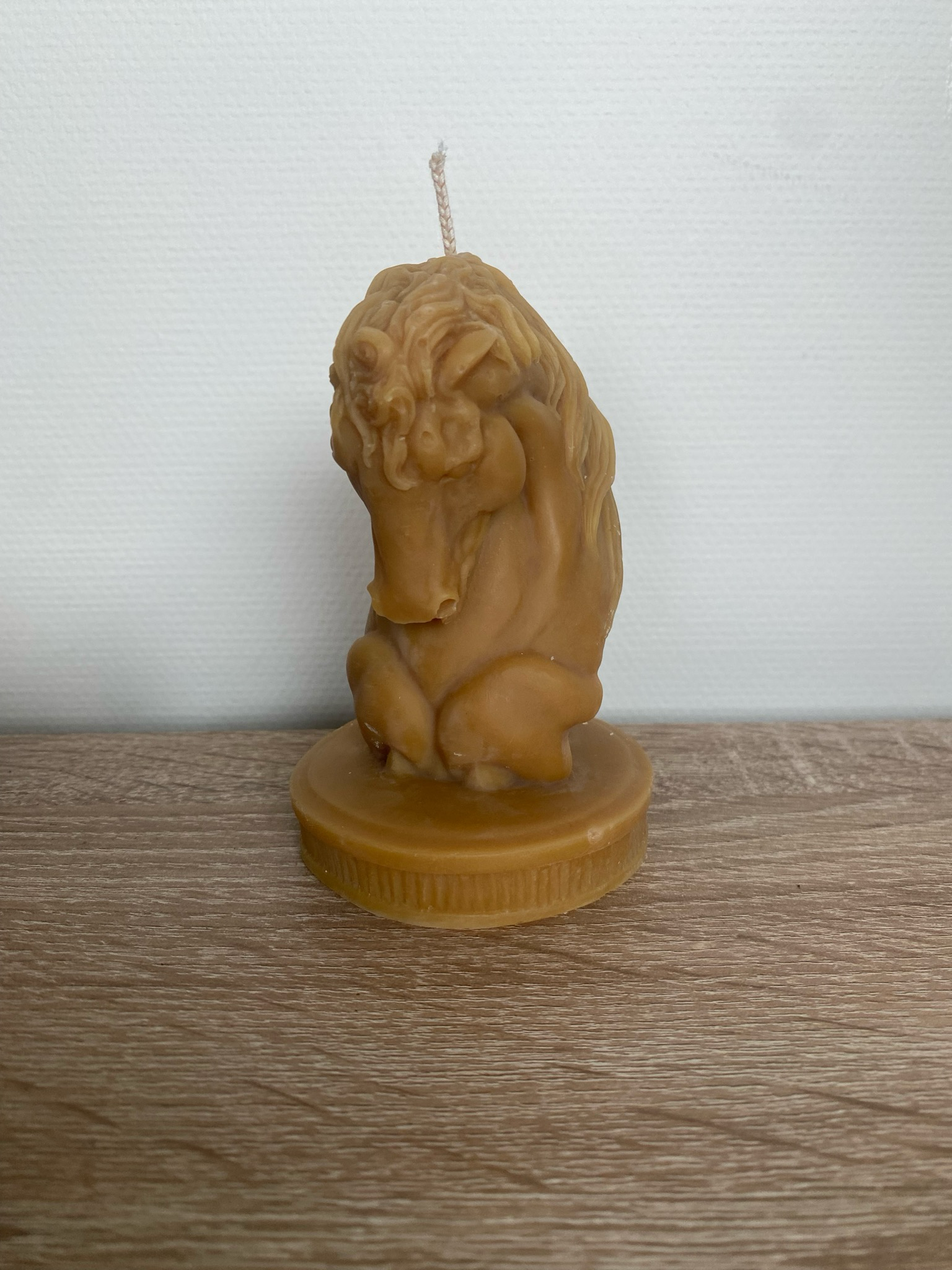 Bougie moulée tête de cheval